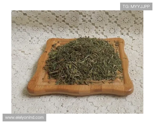 letou乐投手机版客户端下载流程详解，轻松掌握每一步操作技巧