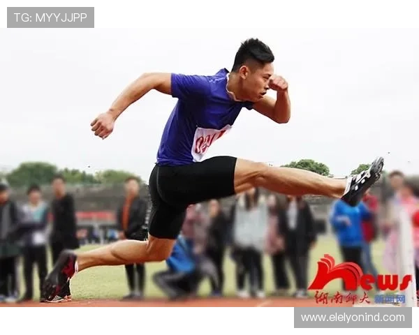 乐冠体育：推动体育文化传播与青少年体育精神培养的重要力量